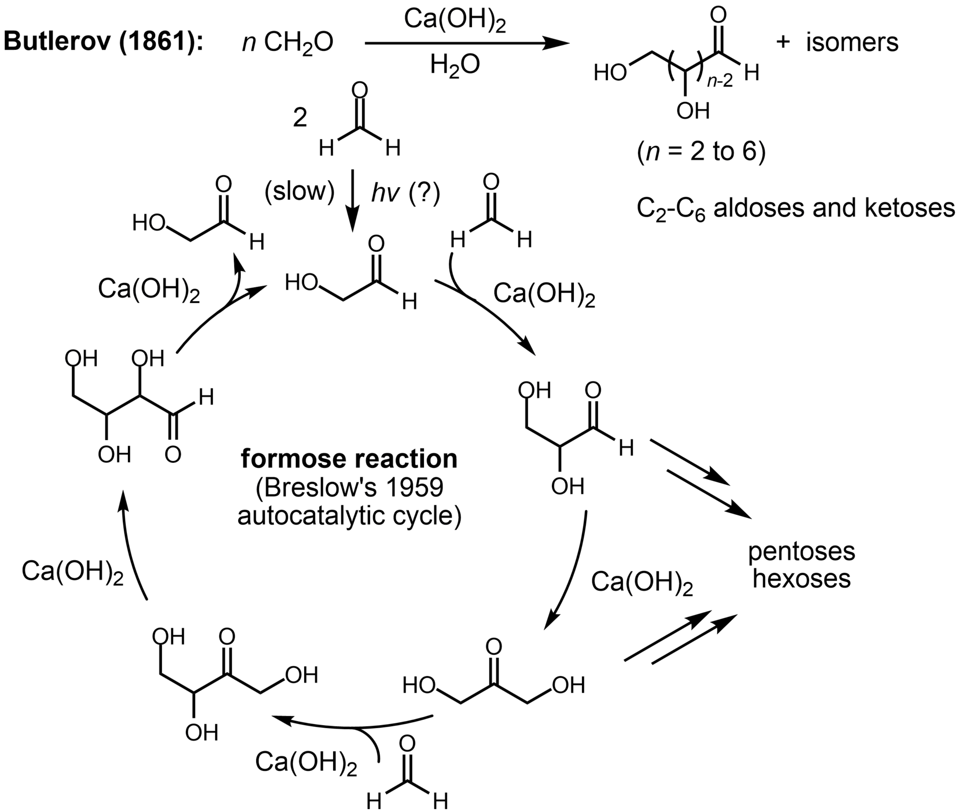One proposed cycle by which simple molecules can build up into the sugars life needs.
