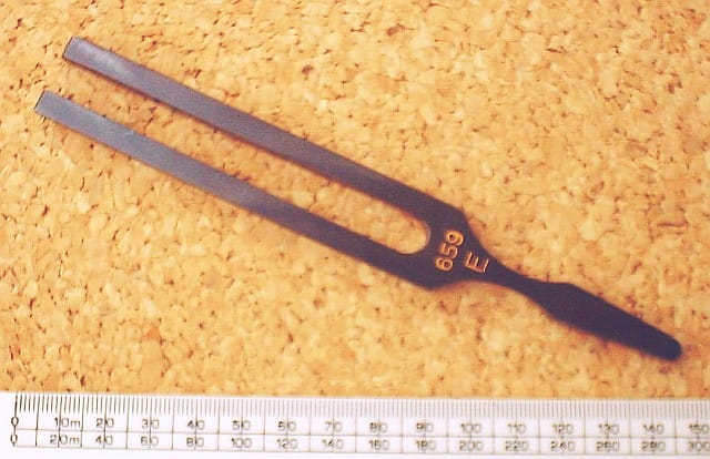 A tuning fork. Whether adults who train to identify notes have acquired absolute pitch, or have simply memorised a stable internal reference and are computing intervals from it, is not resolved.