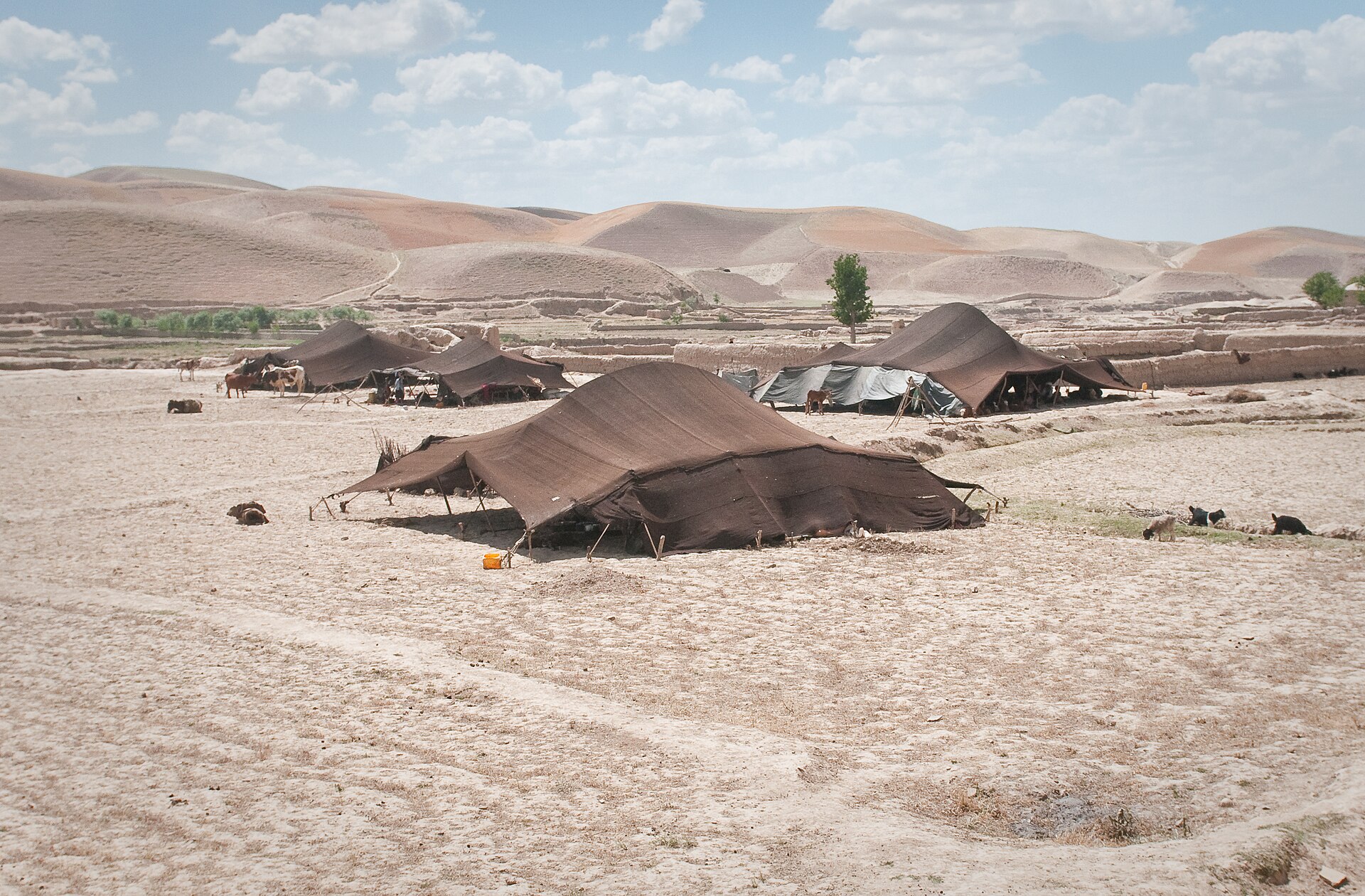 The tents of Afghan nomads in the northern province of Badghis. Herding communities that move with the seasons remain part of a largely rural society shaped by mountains and open country.
