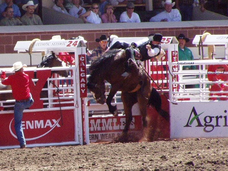 A rider at the Calgary Stampede, the huge annual rodeo and festival that celebrates Alberta's ranching heritage. Billed as the greatest outdoor show on earth, it is a symbol of the province.