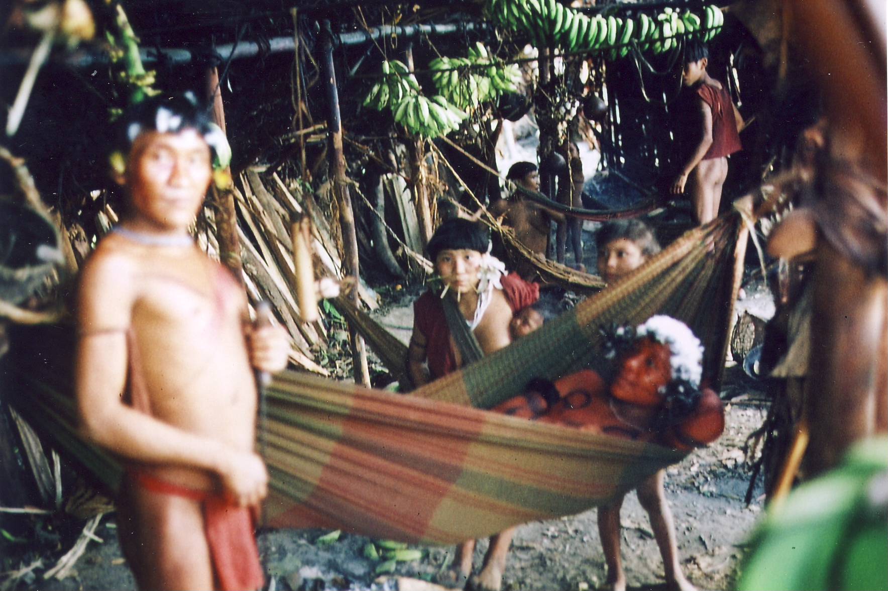 The Yanomami are among the many Indigenous peoples who have lived in the Amazon for millennia. Credit: Ludwig Winklhofer 17:13, 18. Feb. 2008 (CET) (CC BY-SA 2.0 de).