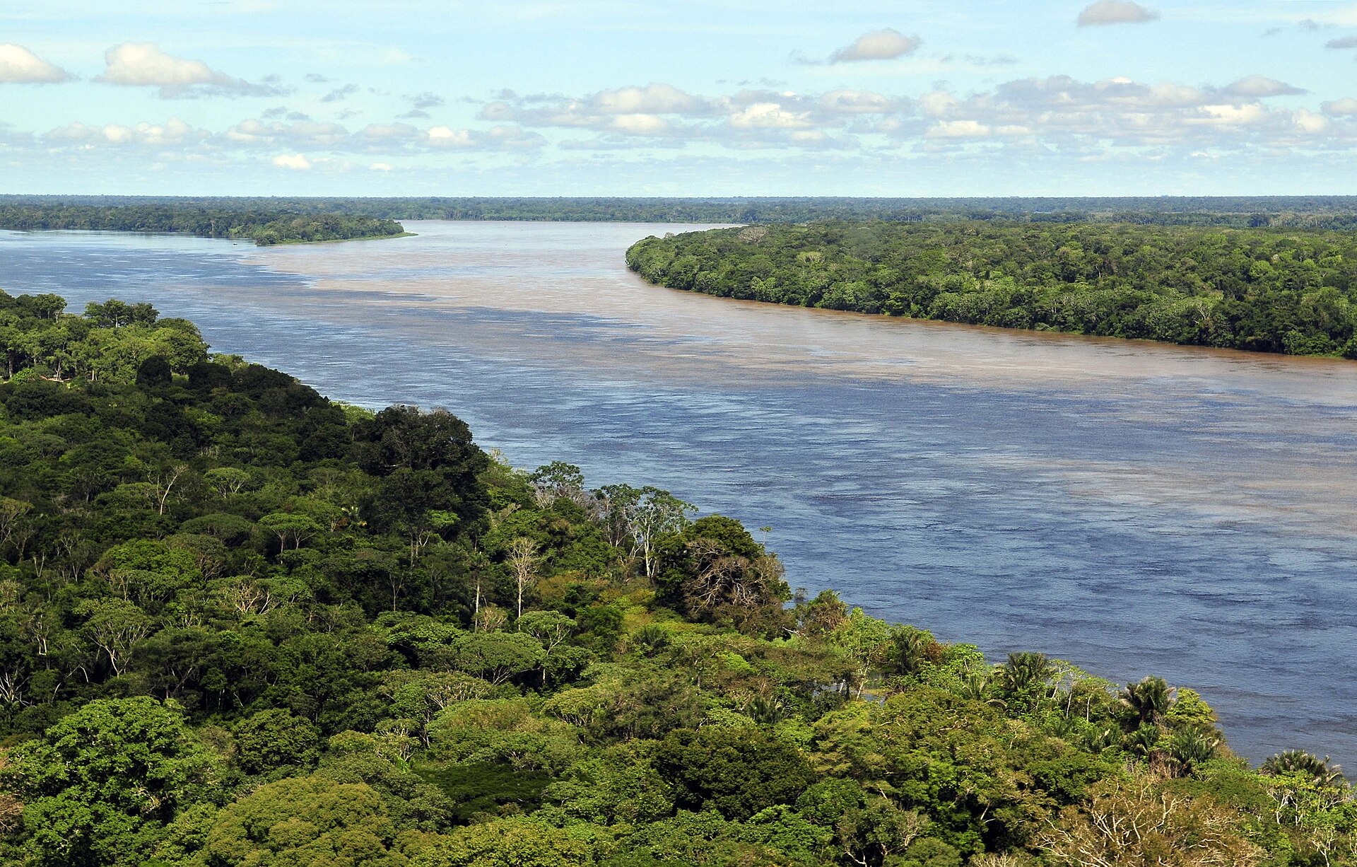Tributaries of the Amazon near Manaus, where dark and light waters meet.