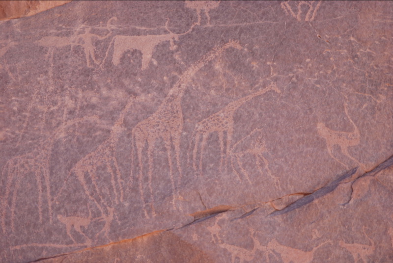 Ancient petroglyphs of a giraffe and other animals from a greener Sahara.