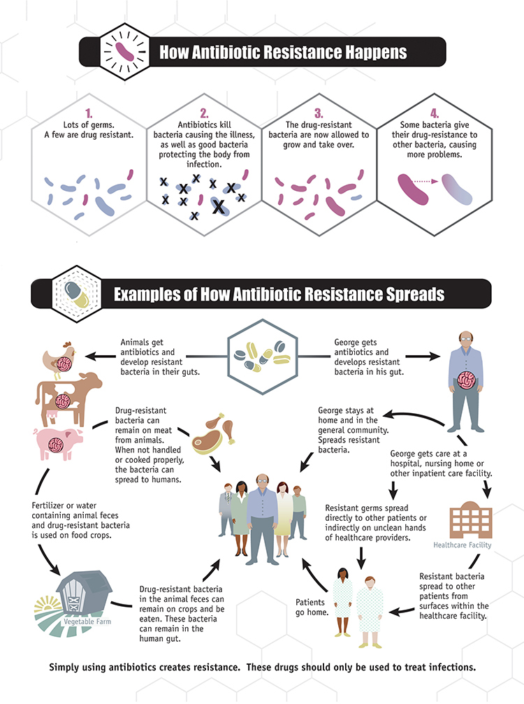 Laboratory tests reveal which antibiotics bacteria can still resist and which still kill them.