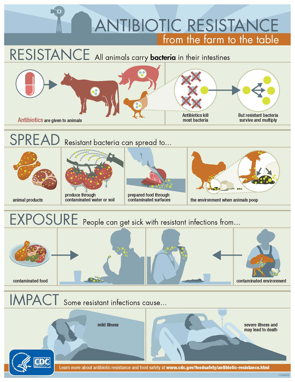 Some of the molecular tricks bacteria use to defeat the antibiotics aimed at them.
