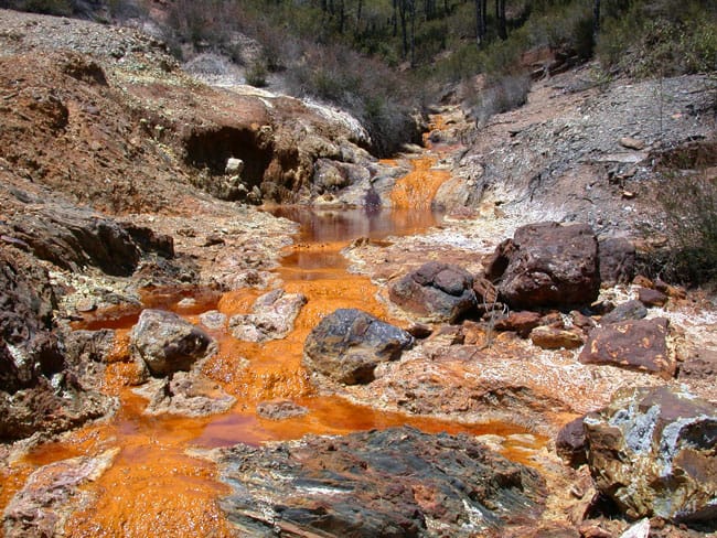 An acidic mineral-rich river. Archaea dominate several environments that are lethal to most organisms, which is how they were first characterised.