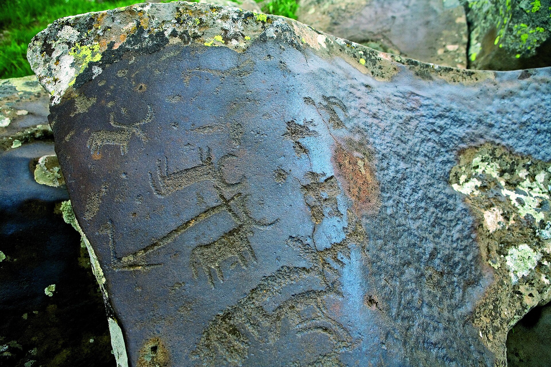Prehistoric petroglyphs carved on Mount Ukhtasar in southern Armenia, among many thousands pecked into the volcanic rock over several millennia. They depict the animals, hunts, and rituals of the earliest inhabitants of the Armenian highlands.