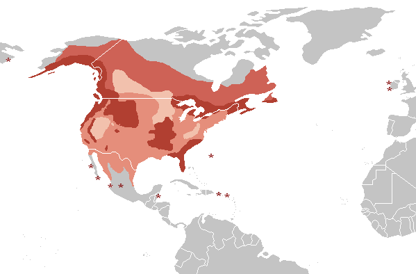 The bald eagle's range across North America, from Alaska and Canada down through the United States. Credit: Mad Max (CC BY-SA 3.0).