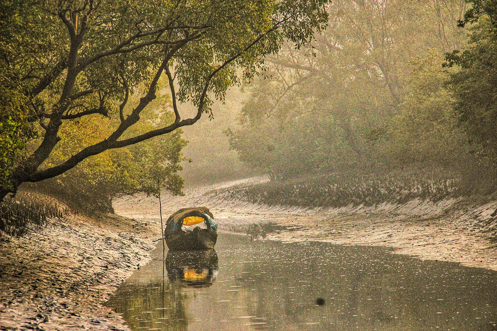 The Sundarbans, the world's largest mangrove forest, straddling the coast of Bangladesh and India. It is the last great stronghold of the Bengal tiger and a natural barrier against the cyclones of the Bay of Bengal.