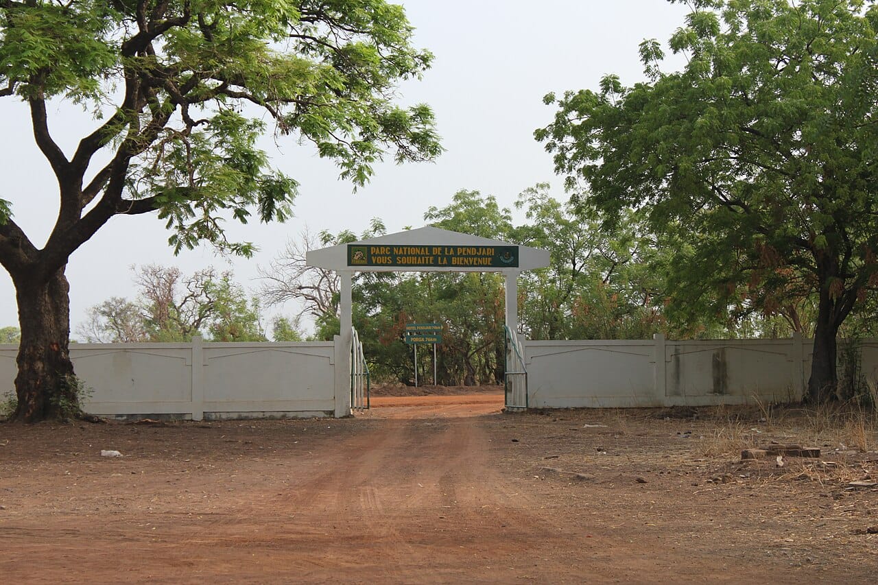 Pendjari National Park in the northwest. Part of a transboundary reserve shared with Burkina Faso and Niger, it holds the largest surviving population of West African lion, along with elephant, cheetah, and hippopotamus.
