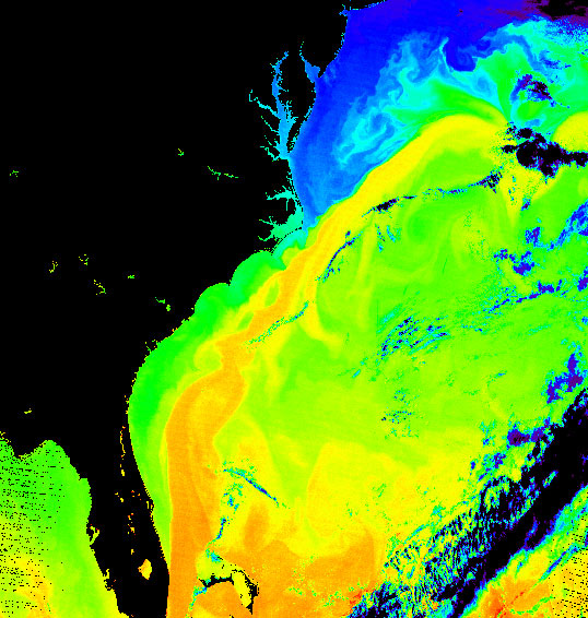 The waters of the Bermuda Triangle, busy with shipping and the warm Gulf Stream.