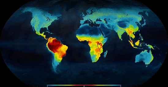 The latitudinal diversity gradient. Species richness increases toward the equator across most groups, one of the oldest recognised patterns in ecology and still not fully explained.
