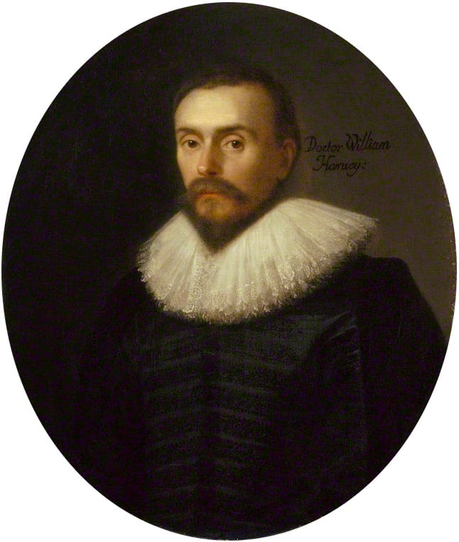 William Harvey, whose 1628 book established circulation by calculating that the volume of blood leaving the heart could not possibly be manufactured and consumed.