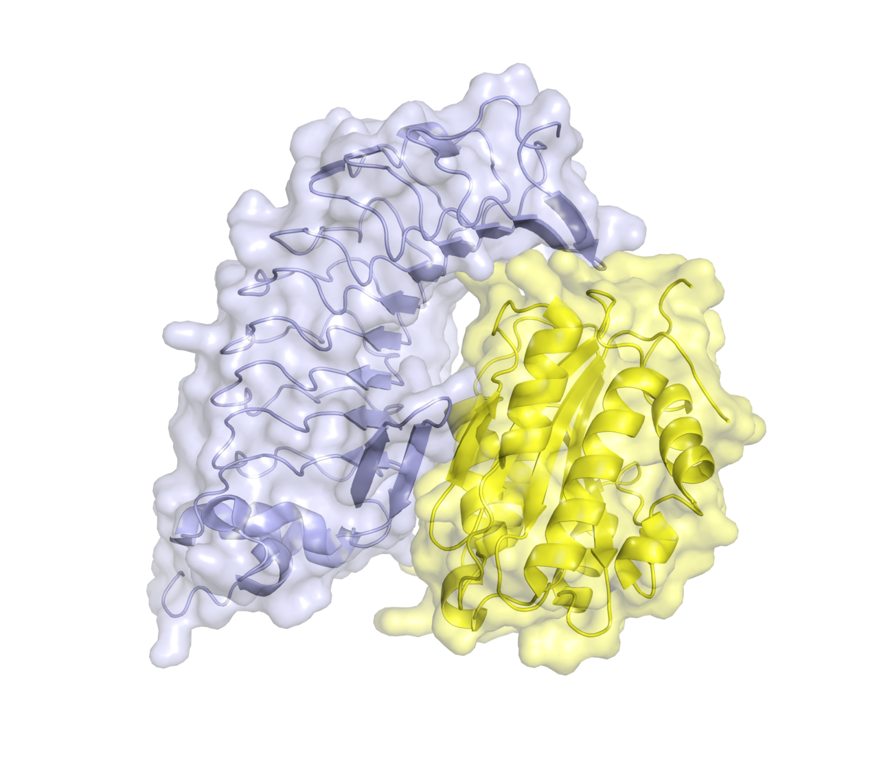 Platelets binding von Willebrand factor through the GPIb receptor. This is the first attachment at a wound, and it works in fast-flowing blood where most bonds would be torn apart.