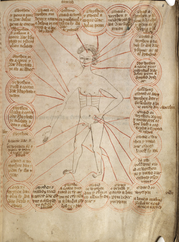 A historical chart marking the points on the body from which to draw blood for different ailments.