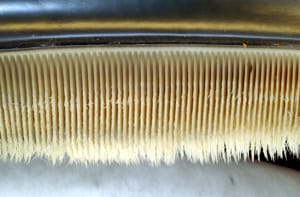 Baleen. The plates are keratin, fringed on the inner edge, and act as a filter rather than as teeth; a blue whale carries several hundred of them.