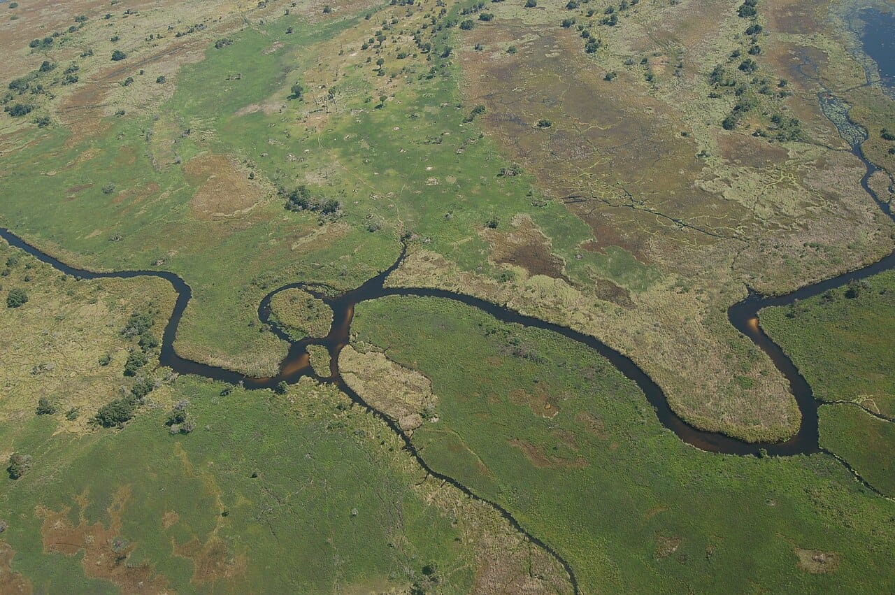 The Okavango Delta, where a great river spreads out and vanishes into the Kalahari instead of reaching the sea, creating a vast maze of channels and islands teeming with wildlife. It is one of Africa's greatest natural wonders.