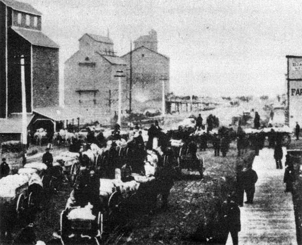 Wagons loaded with sacks of grain awaiting delivery in early Brandon, around the turn of the twentieth century. Grain made the young city's fortune and earned it the enduring nickname of the Wheat City.