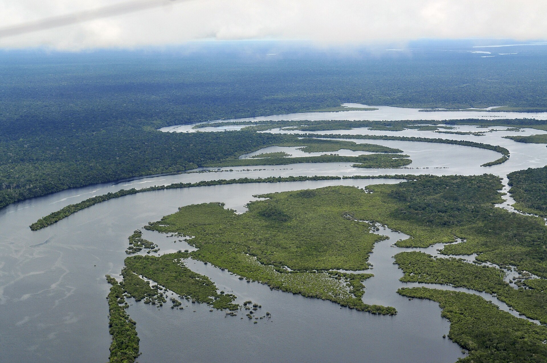 The Amazon rainforest, the largest tropical forest on Earth. A cornerstone of the global climate and the richest store of life on the planet, the greater part of it lies within Brazil.