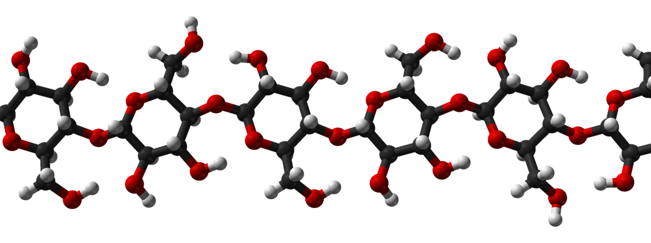 Cellulose. The same glucose units as starch, joined differently, produce a molecule human enzymes cannot break down, which is the structural basis of dietary fibre.