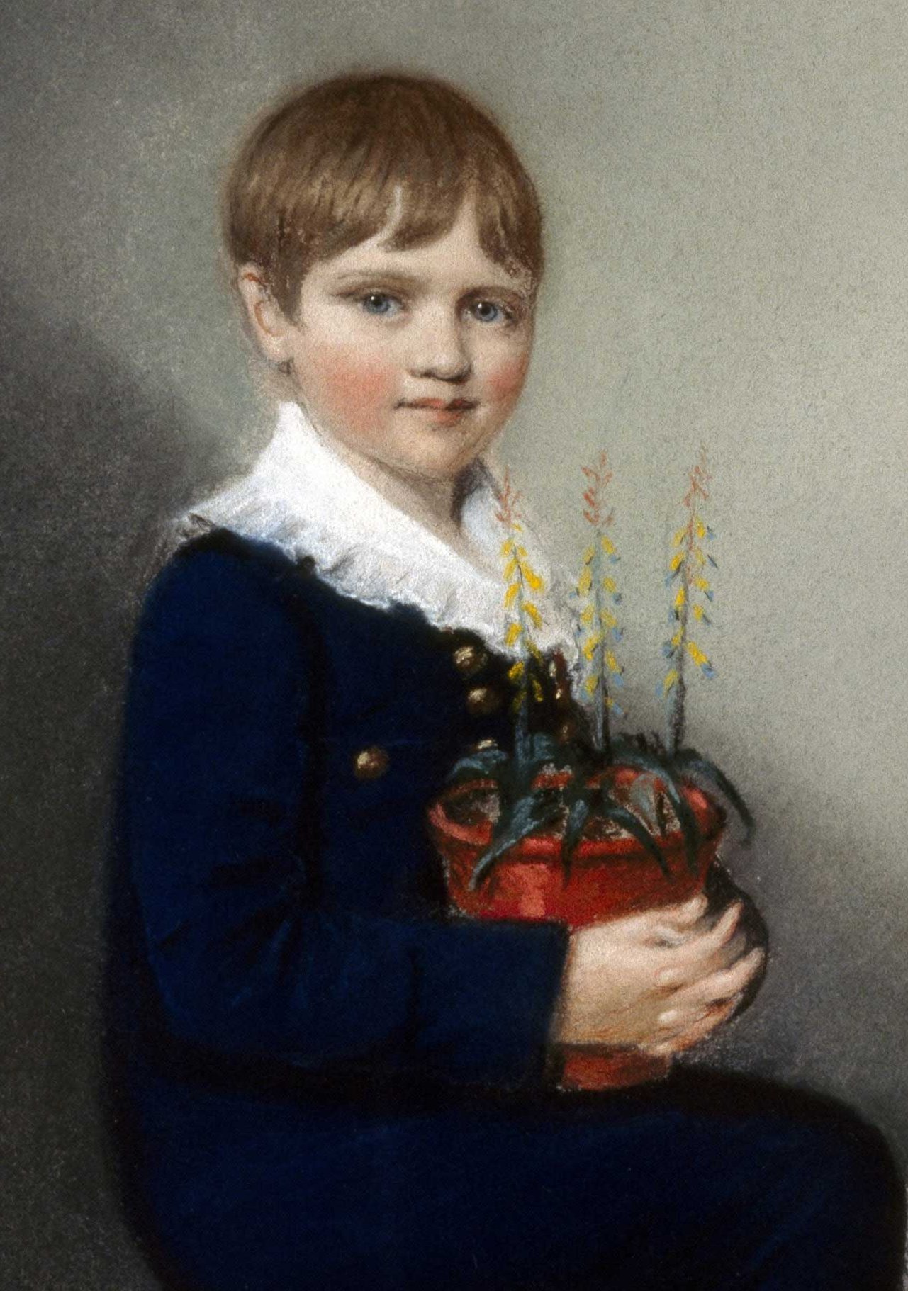 A portrait of the young Darwin, years before his great work.
