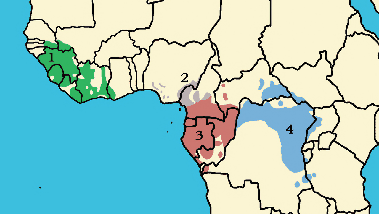 The range of the chimpanzee across equatorial Africa, spanning four recognised subspecies from Senegal to western Tanzania.
