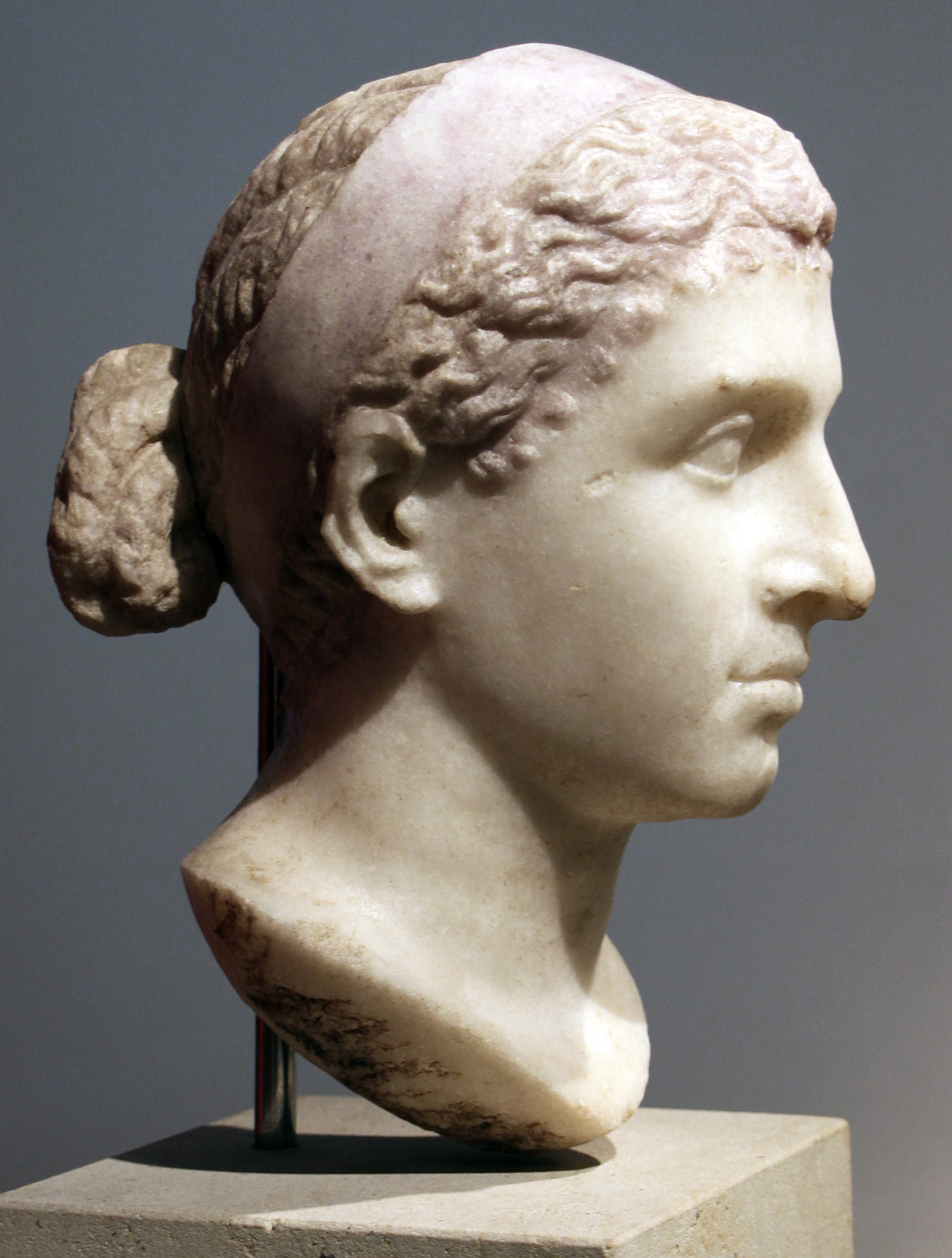 Ancient sculptures from the era of Cleopatra and the Hellenistic world she knew.
