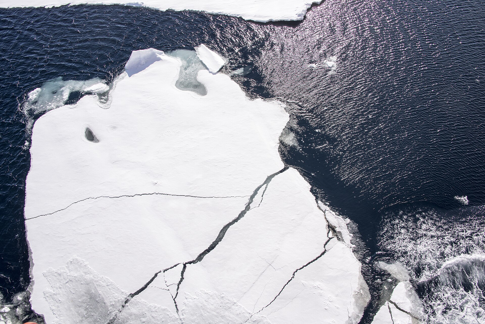 Melting sea ice exposes dark ocean, which absorbs more heat and speeds warming.