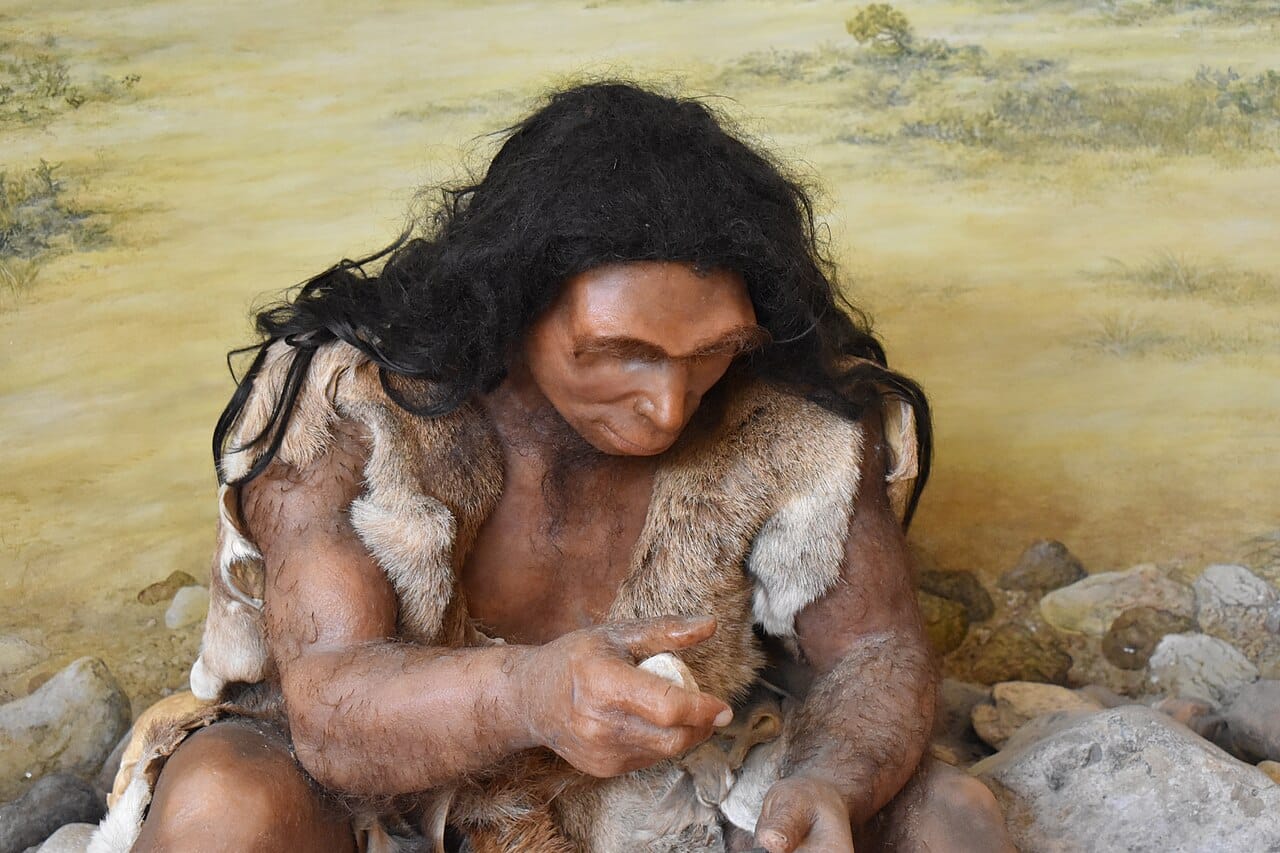 A reconstruction of an early human. Direct evidence of prehistoric clothing is almost absent, since organic materials rarely survive.