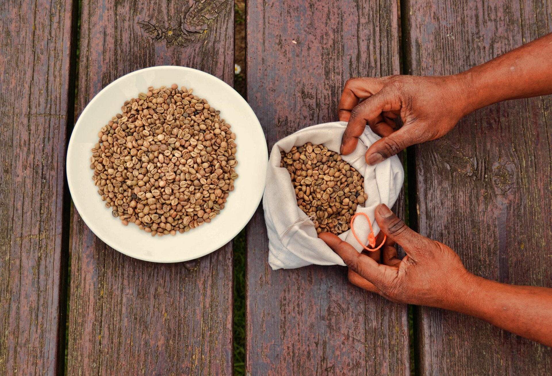 Green coffee beans, which are roasted to develop coffee's flavour and aroma.