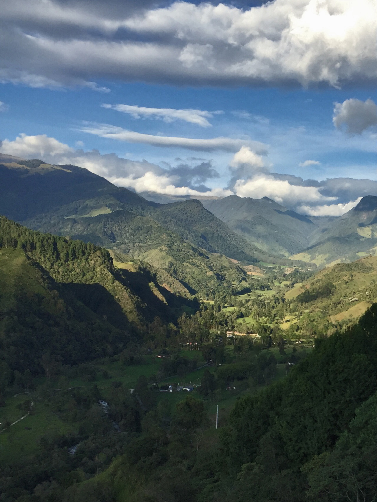The Cocora Valley, home to the towering wax palm, Colombia's national tree, in the heart of the coffee region.