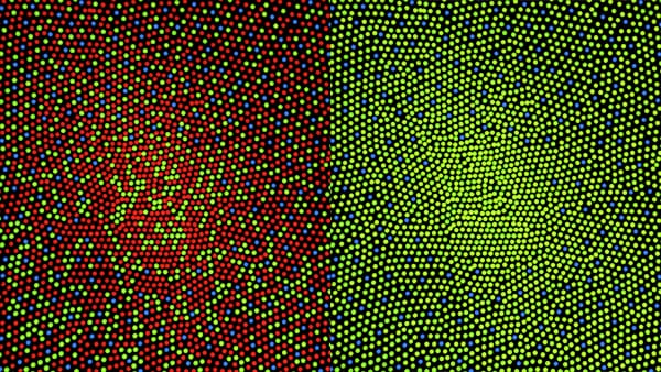 The mosaic of cone cells in the human retina. Three receptor types with broadly overlapping sensitivity reduce a continuous spectrum to three numbers.