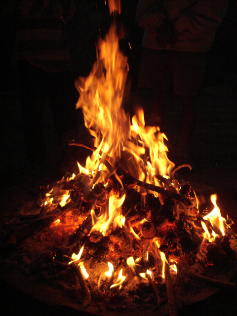 A campfire. The hypothesis requires controlled fire by roughly 1.9 million years ago; widely accepted archaeological evidence of habitual fire use appears around 400,000 years ago.