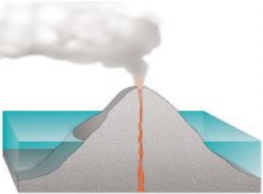 A fringing reef around a volcanic island. Charles Darwin proposed that reef types are stages of one process, with the island subsiding while the reef continues to grow upward.