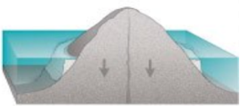 The sequence from fringing reef to atoll. Drilling through an atoll in the twentieth century found volcanic rock beneath great thicknesses of reef material, confirming the account.