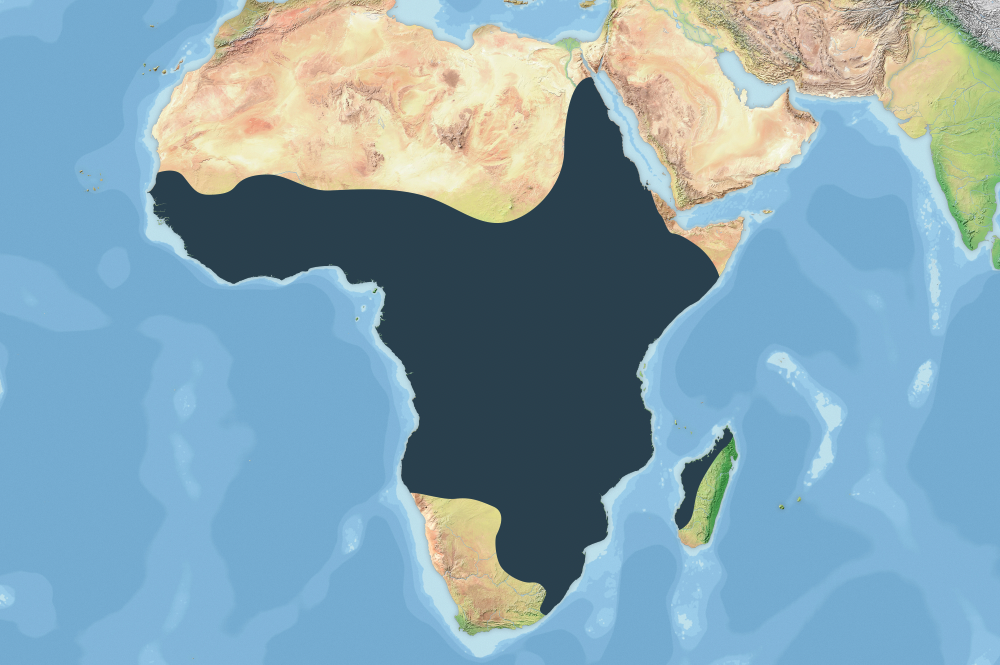 The range of the Nile crocodile across the rivers, lakes, and wetlands of Africa. Credit: Derivative work by Textbook Travel Original work by Achim Raschka (CC BY-SA 3.0).
