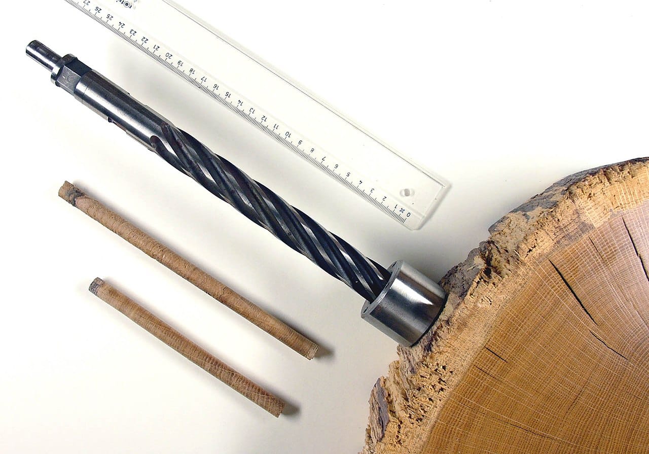 A borer used to take a core from a living tree. The sample is a pencil-thin cylinder, so the tree is not felled and continues growing.