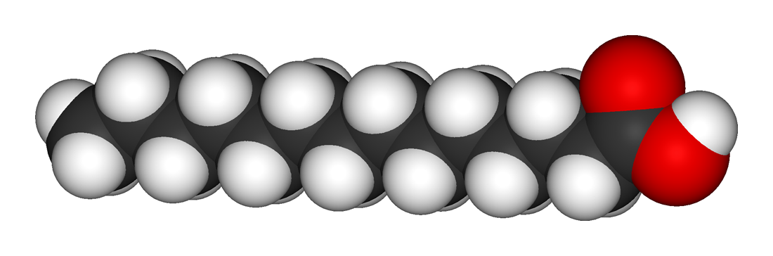 A saturated fatty acid. That saturated fat raises LDL cholesterol is established in controlled feeding studies; what follows from that for heart disease is where the argument is.