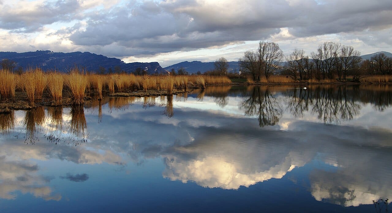 A wetland filling in over time. Succession is often studied by comparing places at different stages rather than by waiting, since the process outlasts any observer.