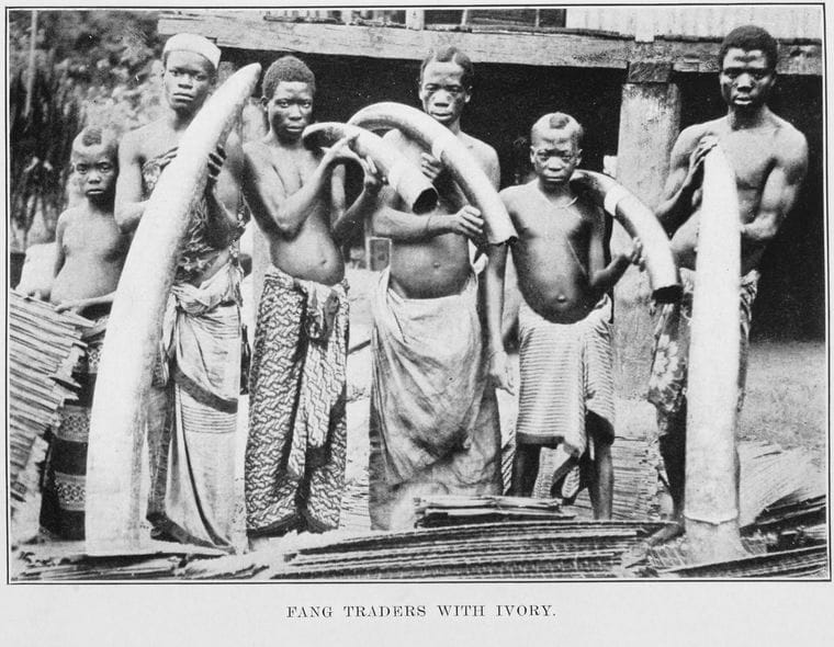 Traders with ivory in Central Africa in the colonial period. The trade was industrial long before the twentieth century and was entangled with the slave trade, since tusks were carried to the coast by enslaved people.