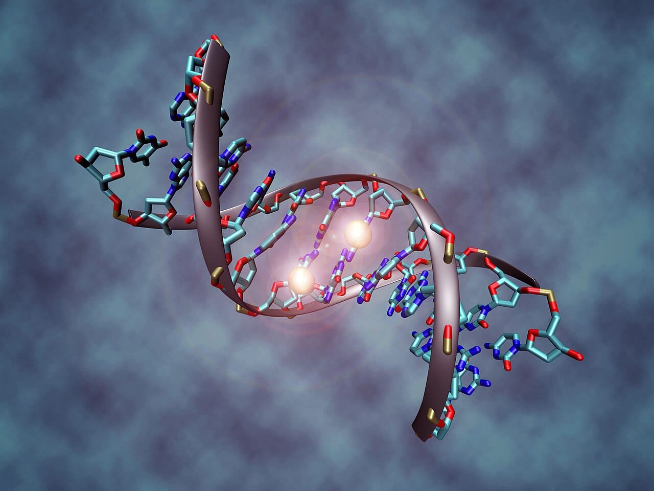 DNA methylation. Adding a methyl group to cytosine typically silences a gene, and disrupted methylation patterns are a well documented feature of many cancers.