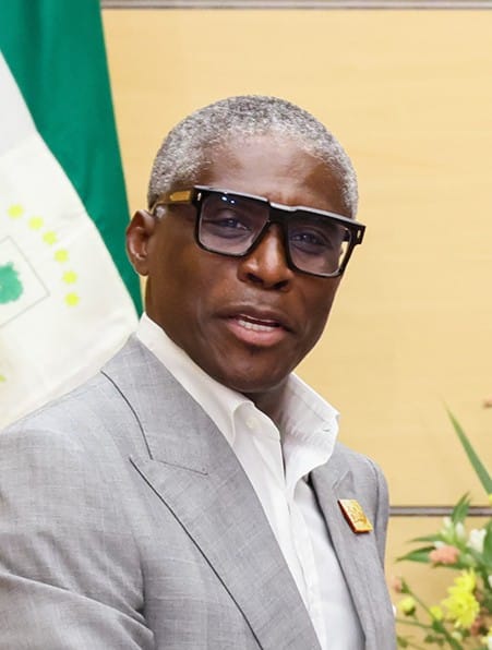 Teodoro Nguema Obiang Mangue, known as Teodorin, the son of the president and vice president of Equatorial Guinea. His lavish spending abroad, far beyond any official salary, led courts in France and the United States to seize assets as the proceeds of corruption.