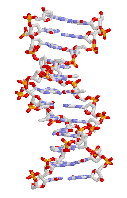 DNA carries the heritable variation that natural selection acts on, the mechanism Darwin lacked.