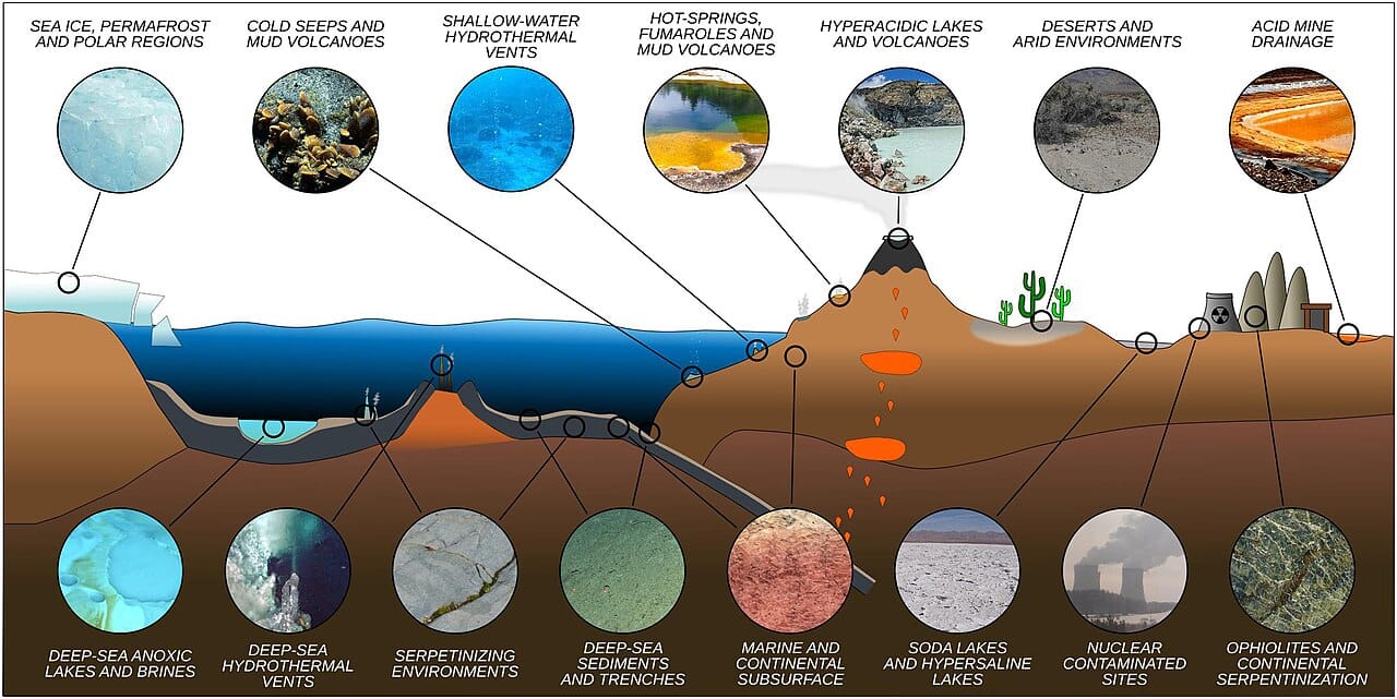 Extreme environments across the planet. Very few places on Earth with liquid water and an energy source have been found to be sterile.