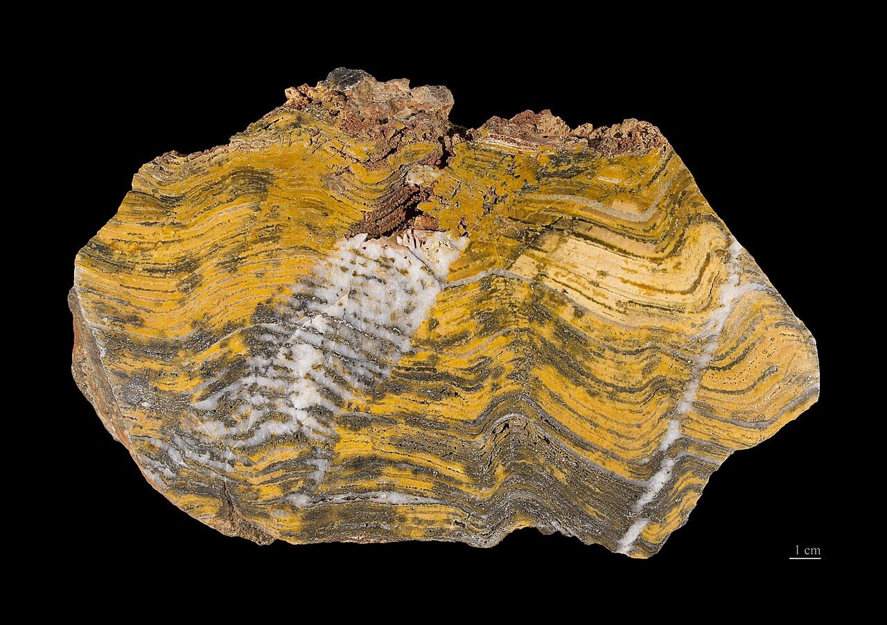 Stromatolites from the Palaeoarchean. Structures like these, built by microbial mats in shallow water, are among the direct evidence that the early Earth was not frozen.