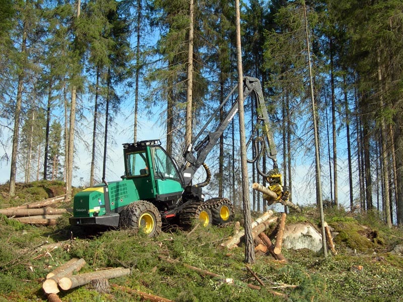A mechanised harvester. Modern industrial forestry is highly mechanised, and a single machine performs work that formerly required a crew.