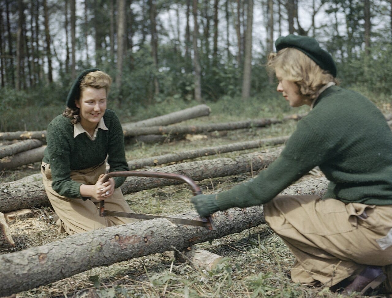 Timber being cut for pit props during wartime. Forests have repeatedly been managed as a strategic resource, and demand has driven both depletion and planting.
