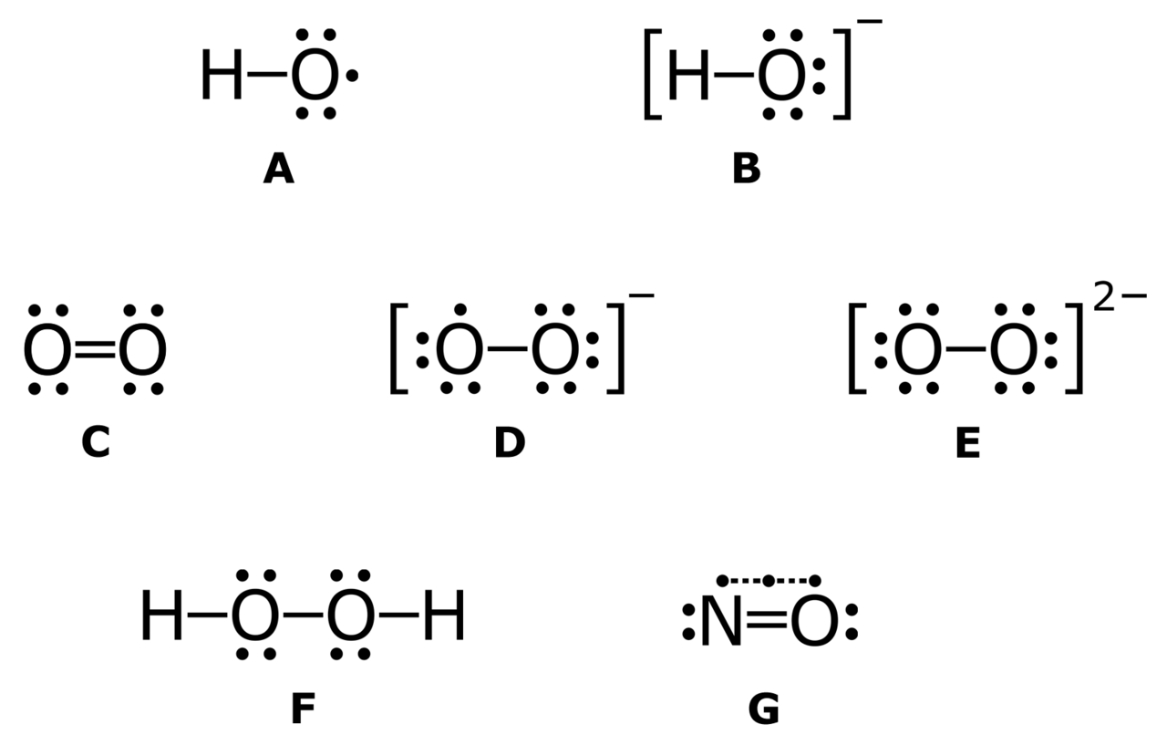 Reactive oxygen species. They are unavoidable by-products of aerobic respiration and do damage proteins, lipids and DNA.