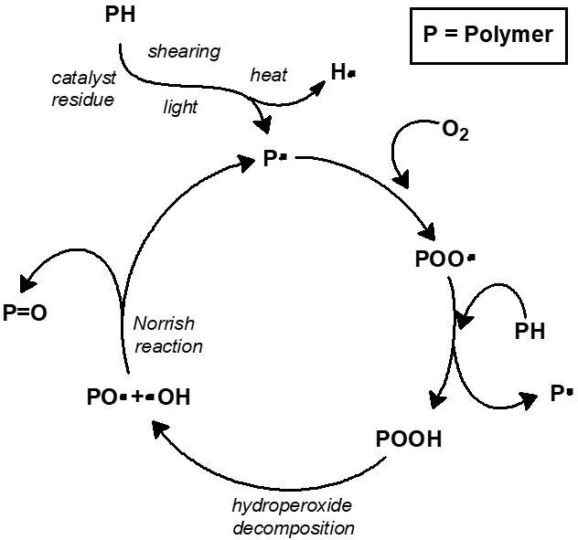 Oxidation in a polymer. The chemistry of oxidative damage is real; whether accumulating it is what ageing consists of is what has not held up.