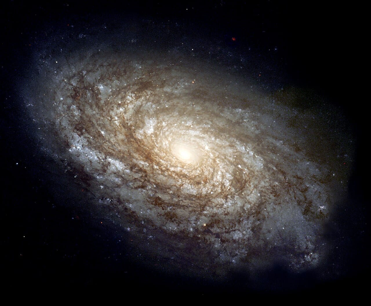 A spiral galaxy. The disc contains stars, gas and dust arranged in arms, and the central bulge holds older stars and, in most cases, a supermassive black hole.